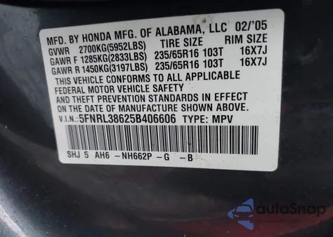 2005 Honda Odyssey Ex-L z USA, uszkodzony, nr VIN 5FNRL38625B406606